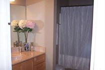 Photo #14